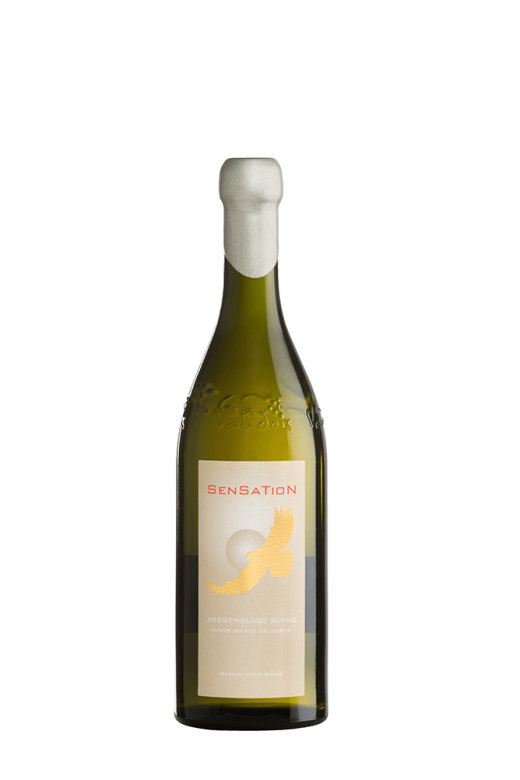 Sensation Assemblage Blanc