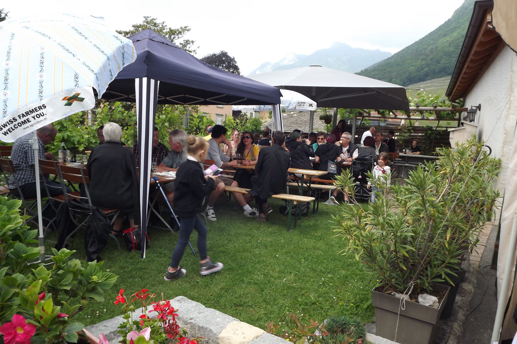 Les caves ouvertes