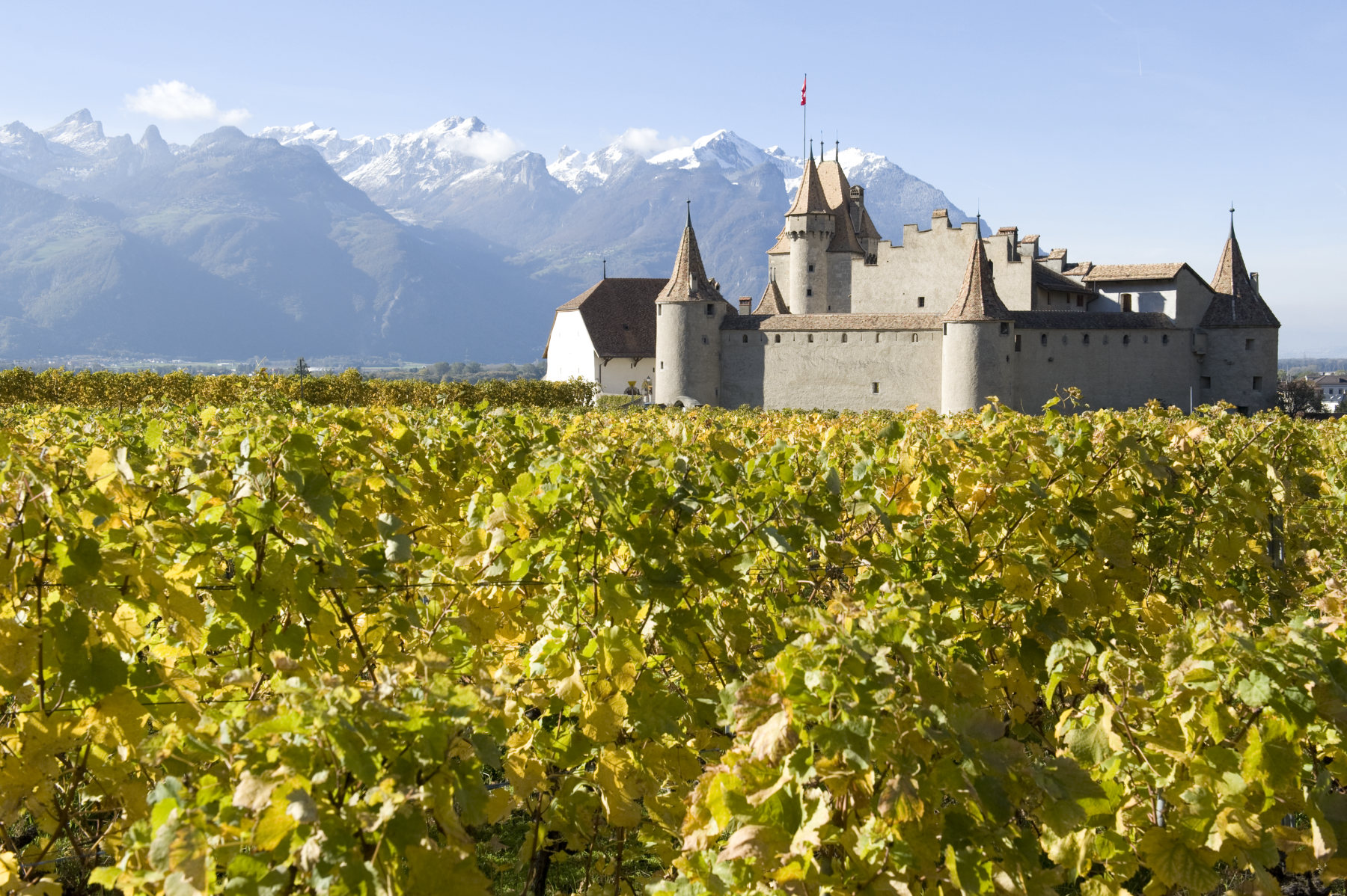 Le coteau et le Château d'Aigle